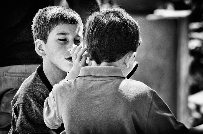 Elephant's Makeover: Lessons in Gossip