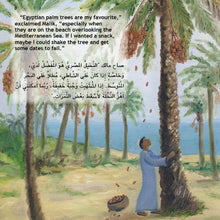 Load image into Gallery viewer, The Forever Tree