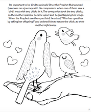 Load image into Gallery viewer, The Adventures of Malik and Ameerah (Activity Book)